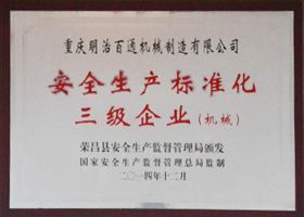 安全生產標準化三級企業